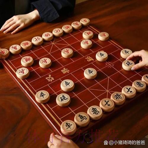 棋逢对手难藏行，诗到重吟始见功——中韩足球青训交流白皮书